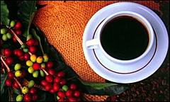 coffeecup.jpg